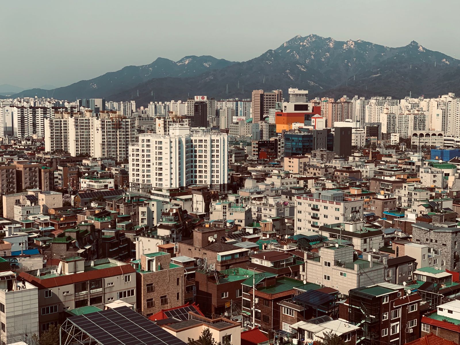 등마사지 4